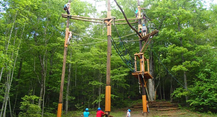 A few people wearing safety gear are secured by ropes as they make their way through a high ropes obstacle course. From the ground, others watch. 